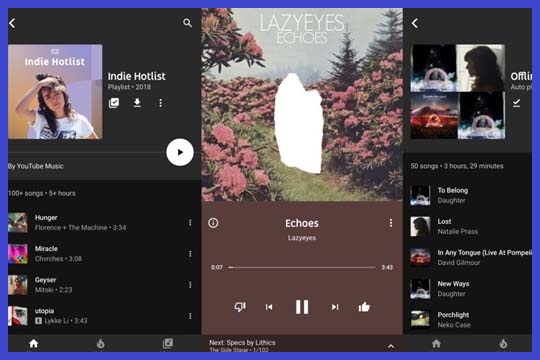 Kontroversi dan Pro YouTube Premium
